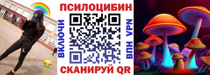 Псилоцибиновые грибы Psilocybine cubensis как найти наркотики Энем